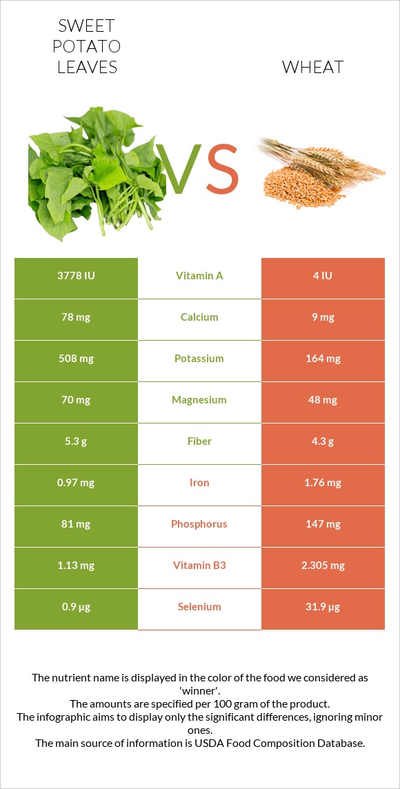 Sweet potato leaves vs Wheat infographic