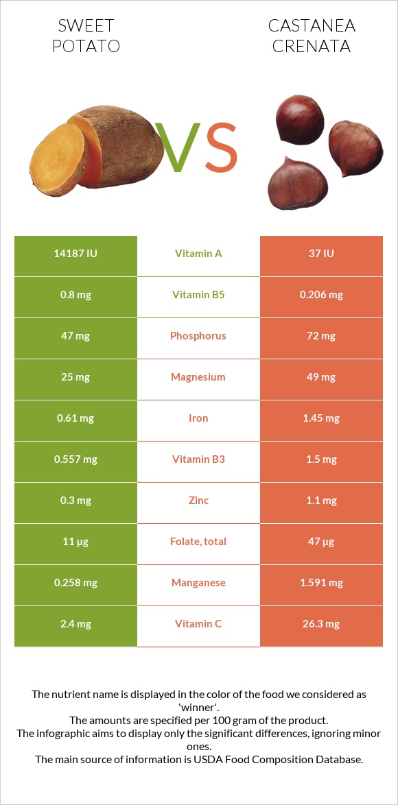 Sweet potato vs Castanea crenata infographic