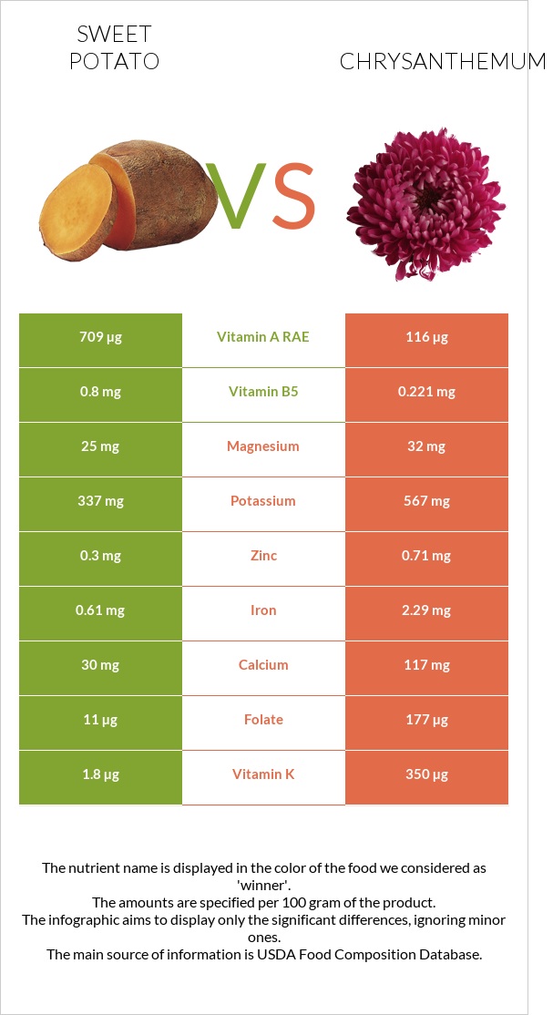 Sweet potato vs Chrysanthemum infographic