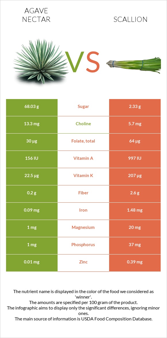 Agave nectar vs Scallion infographic