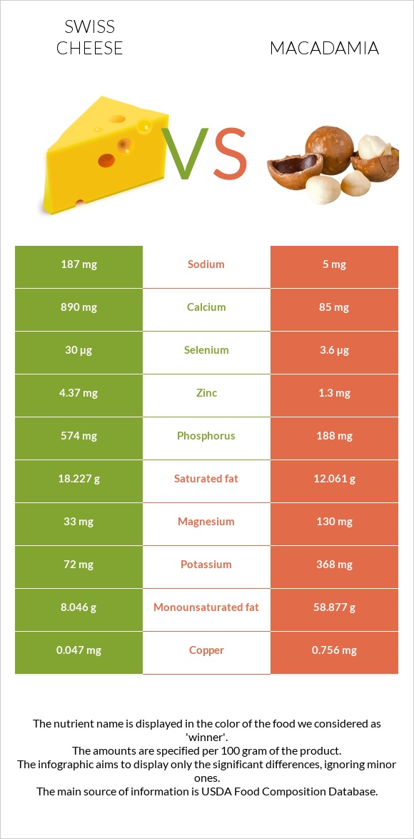 Swiss cheese vs Macadamia infographic