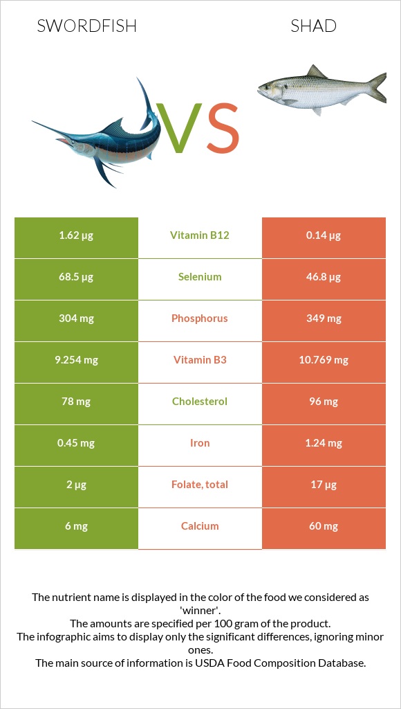 Swordfish vs Shad infographic