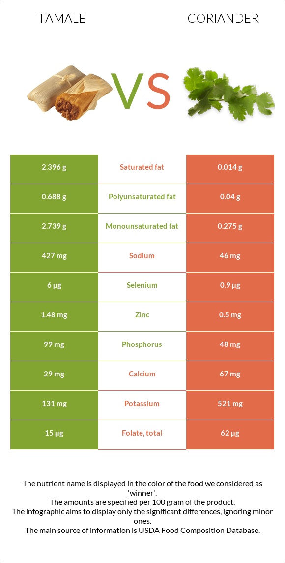 Tamale vs Coriander infographic