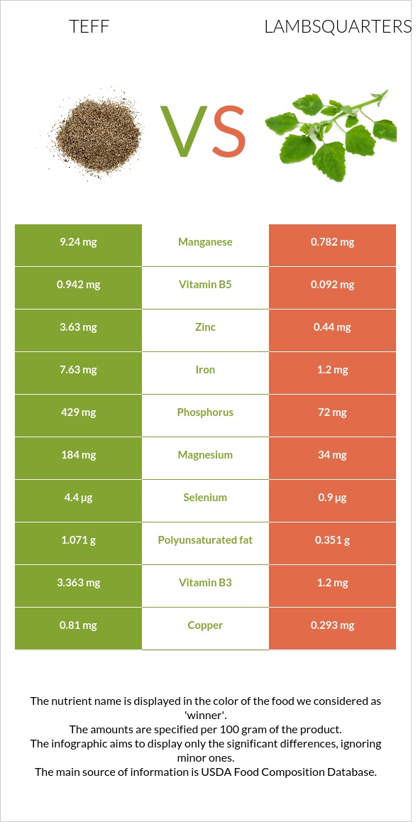 Teff vs Lambsquarters infographic