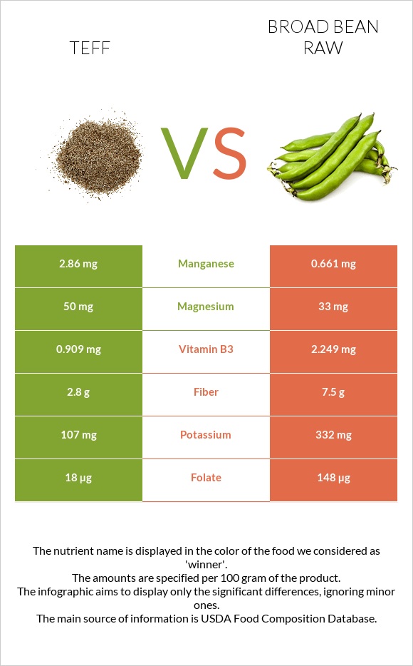 Teff vs Broad bean raw infographic