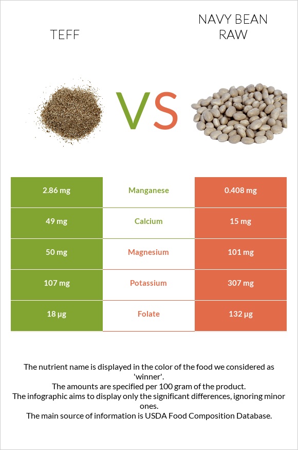 Teff vs Navy bean raw infographic