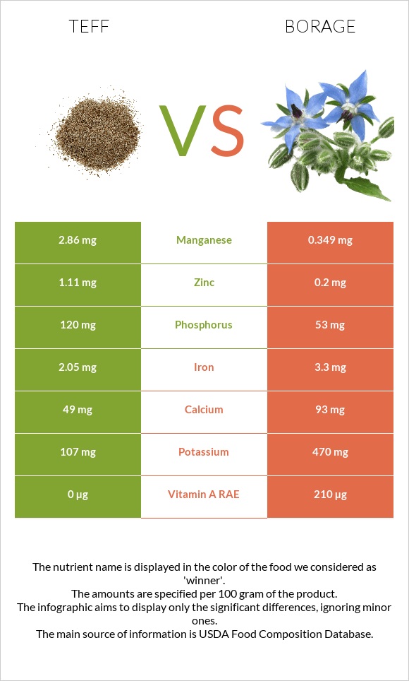 Teff vs Borage infographic