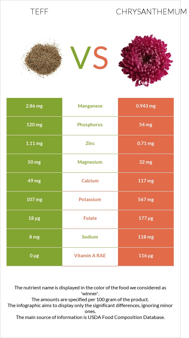 Teff vs Chrysanthemum infographic