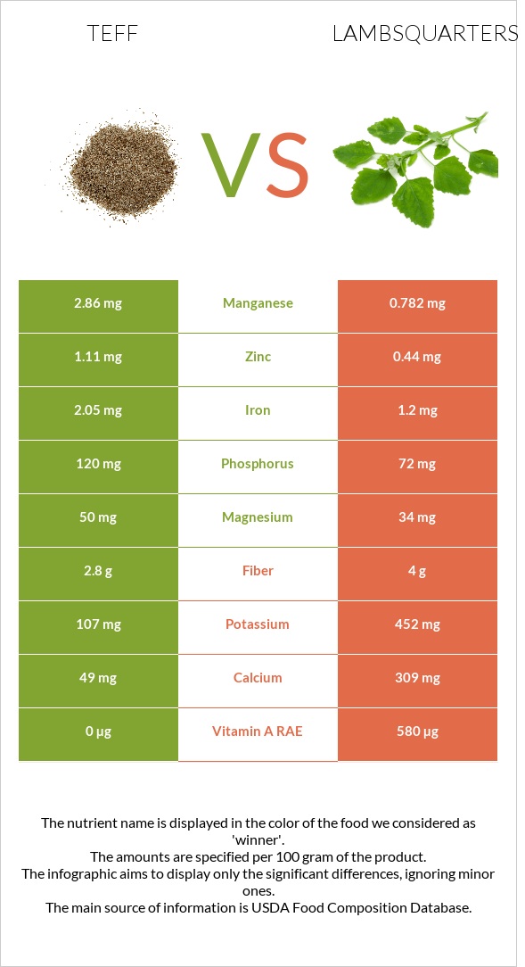 Teff vs Lambsquarters infographic