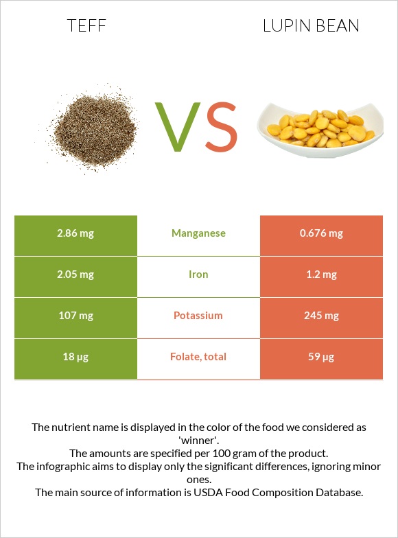 Teff vs Լոբի լուպին infographic