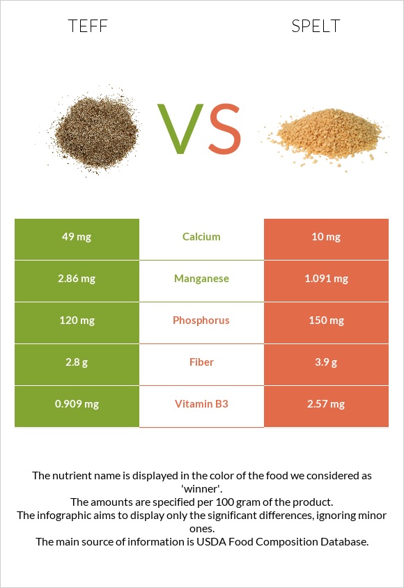 Teff vs Spelt infographic