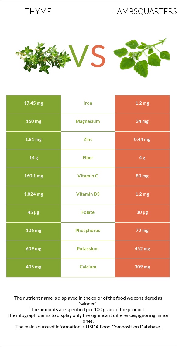 Ուրց vs Lambsquarters infographic