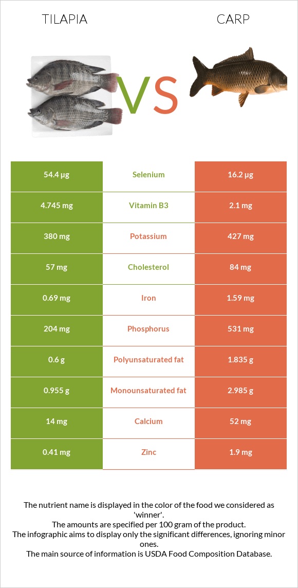 Tilapia vs Carp infographic