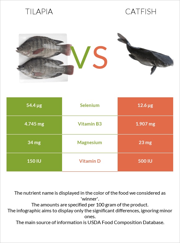 Tilapia vs. Catfish — InDepth Nutrition Comparison