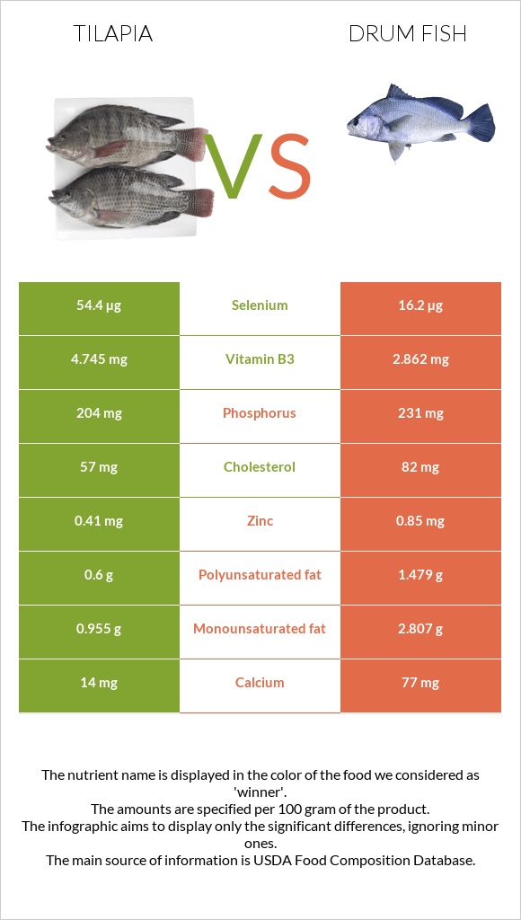 Tilapia vs Drum fish infographic