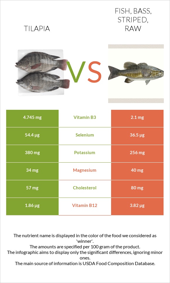 Tilapia vs Fish, bass, striped, raw infographic