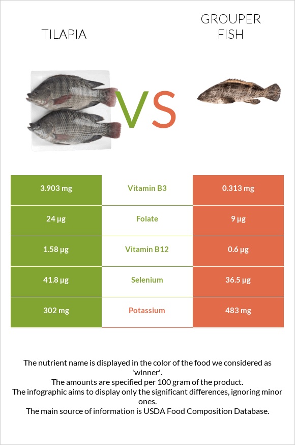Tilapia vs Grouper fish infographic