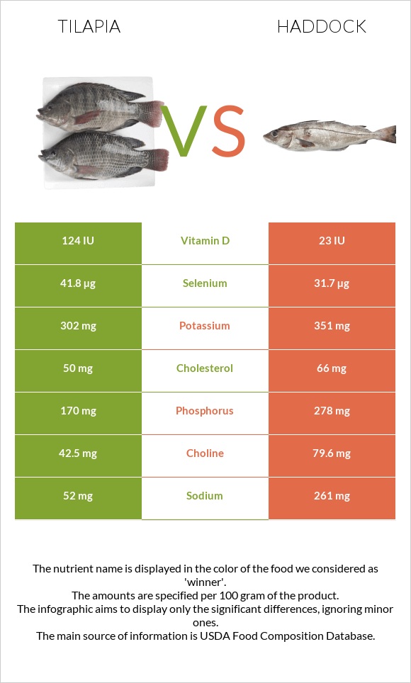Tilapia vs Haddock infographic