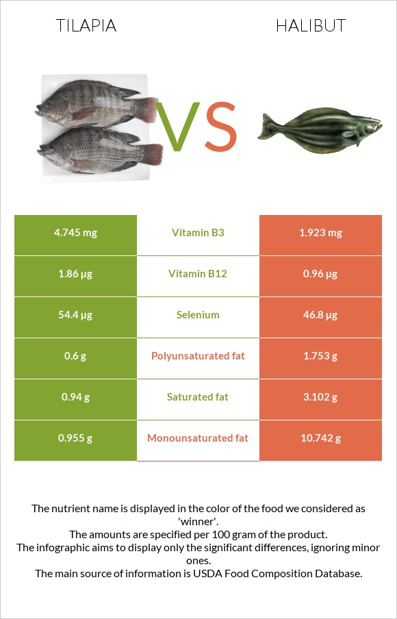 Tilapia vs Halibut infographic