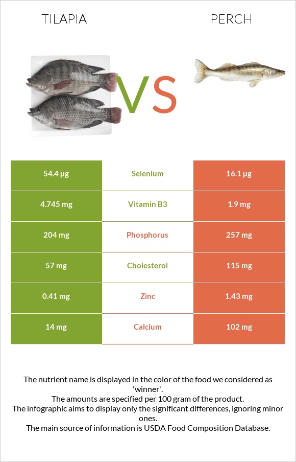 Tilapia vs Perch infographic
