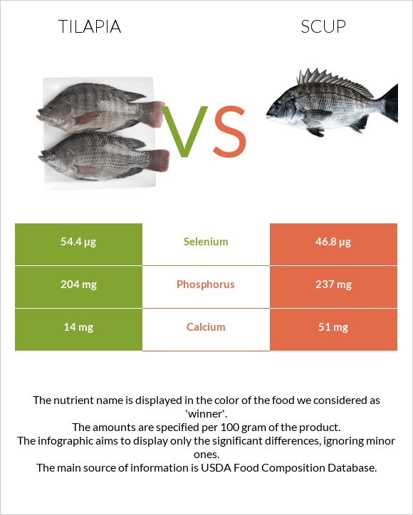 Tilapia vs Scup infographic