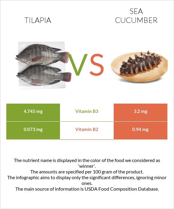 Tilapia vs Sea cucumber infographic