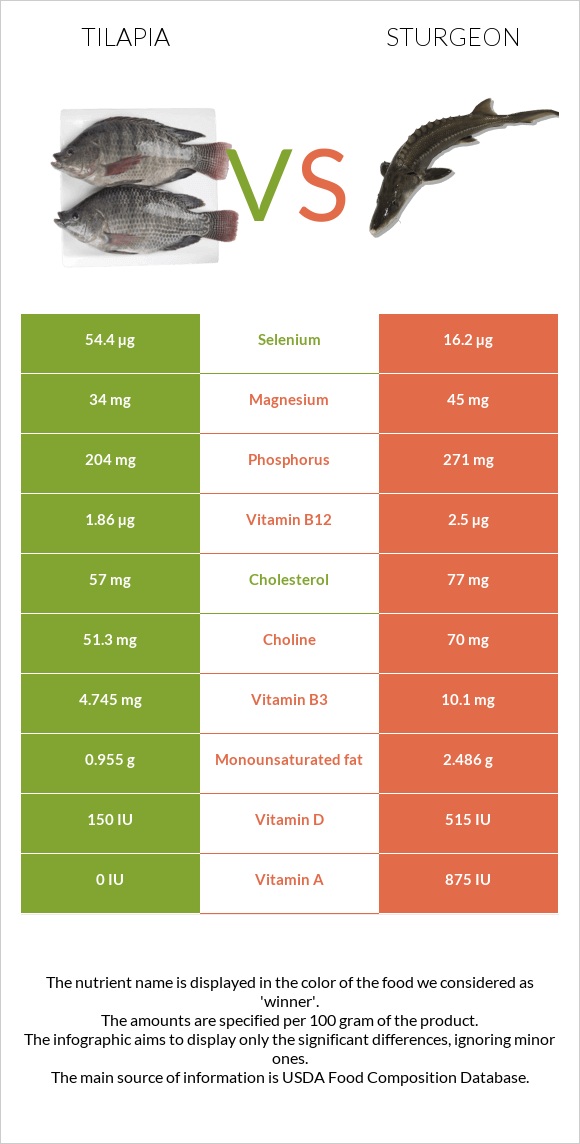 Tilapia vs Sturgeon infographic