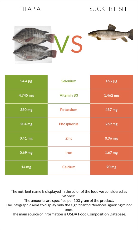 Tilapia vs Sucker fish infographic