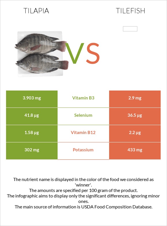 Tilapia vs Tilefish infographic