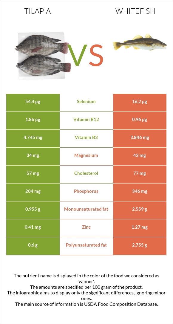 Tilapia vs Whitefish infographic