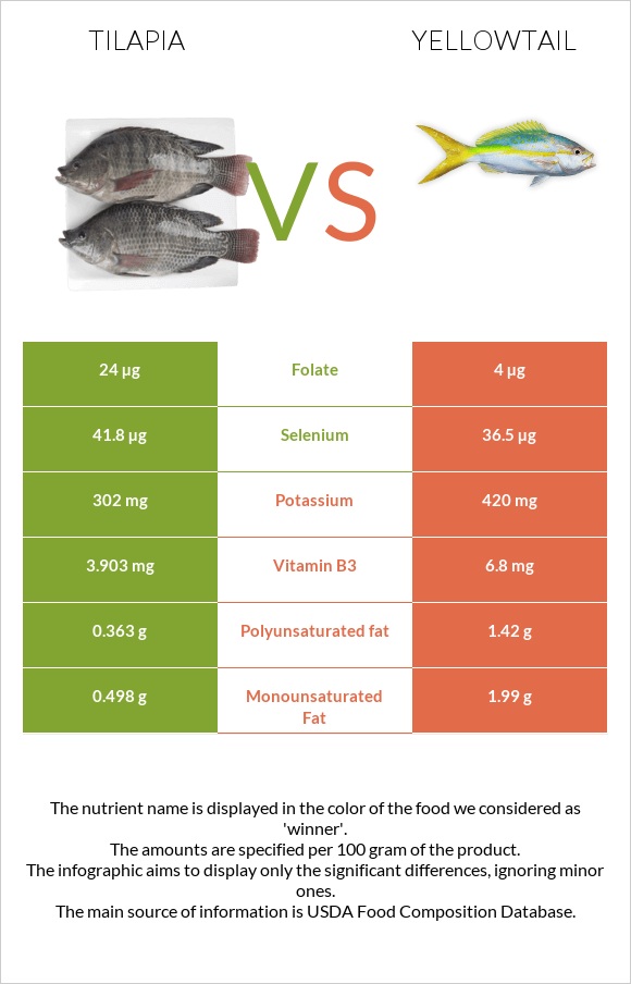 Tilapia vs Yellowtail infographic