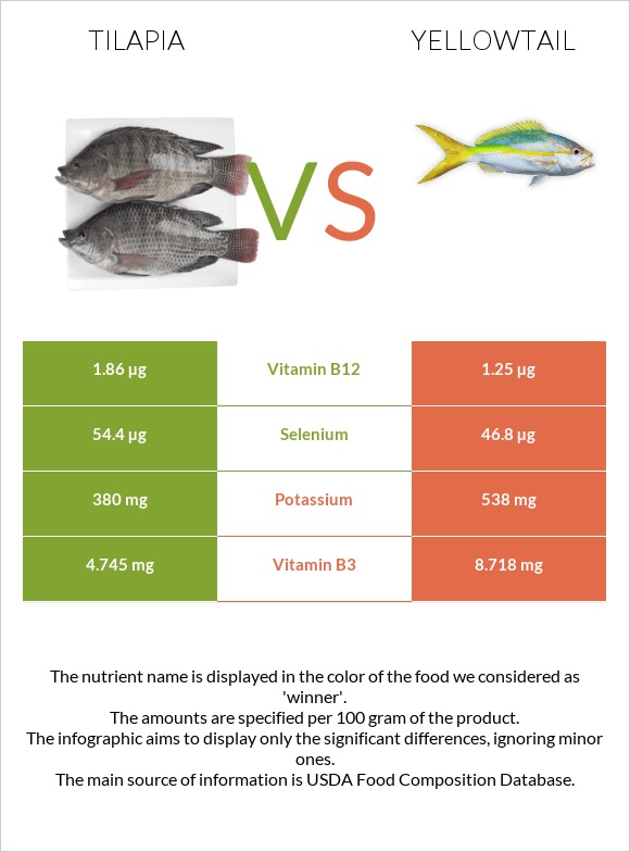 Tilapia vs Yellowtail infographic