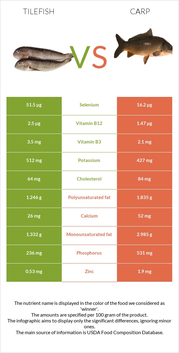 Tilefish vs Carp infographic