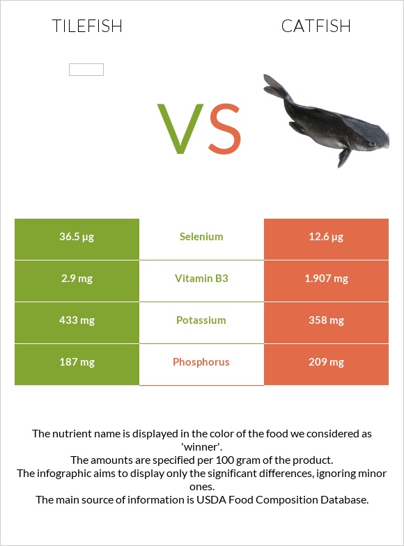 Tilefish vs Catfish infographic