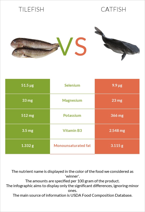 Tilefish vs Catfish infographic