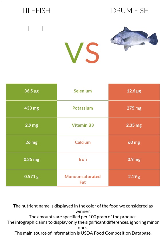 Tilefish vs Drum fish infographic