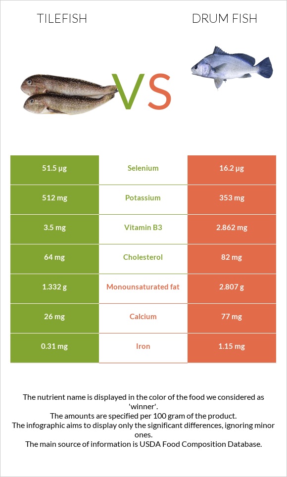 Tilefish vs Drum fish infographic