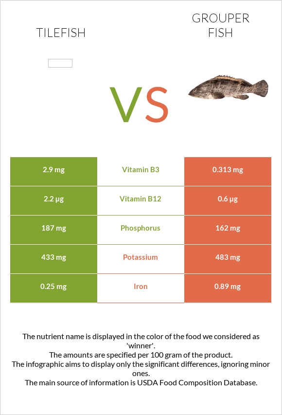 Tilefish vs Grouper fish infographic
