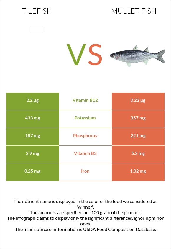 Tilefish vs Mullet fish infographic