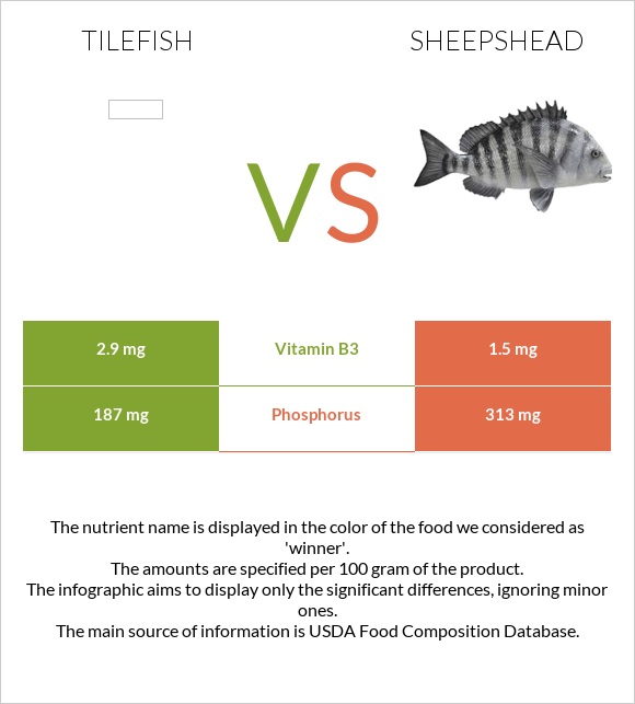 Tilefish vs Sheepshead infographic