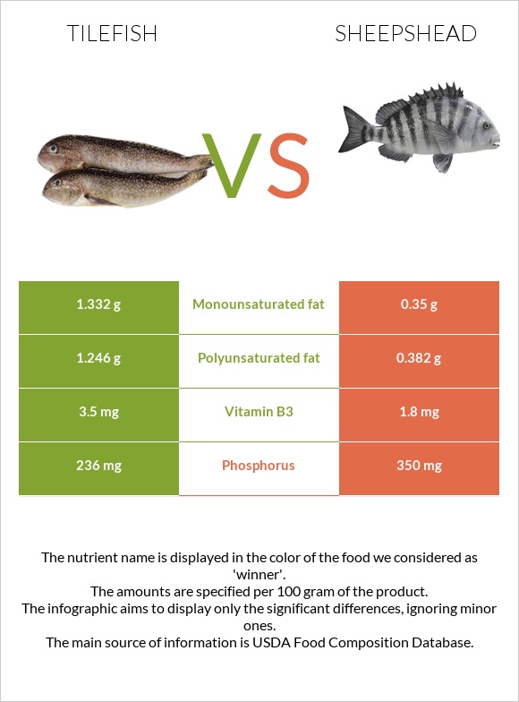 Tilefish vs Sheepshead infographic