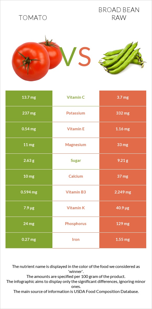 Tomato vs Broad bean raw infographic