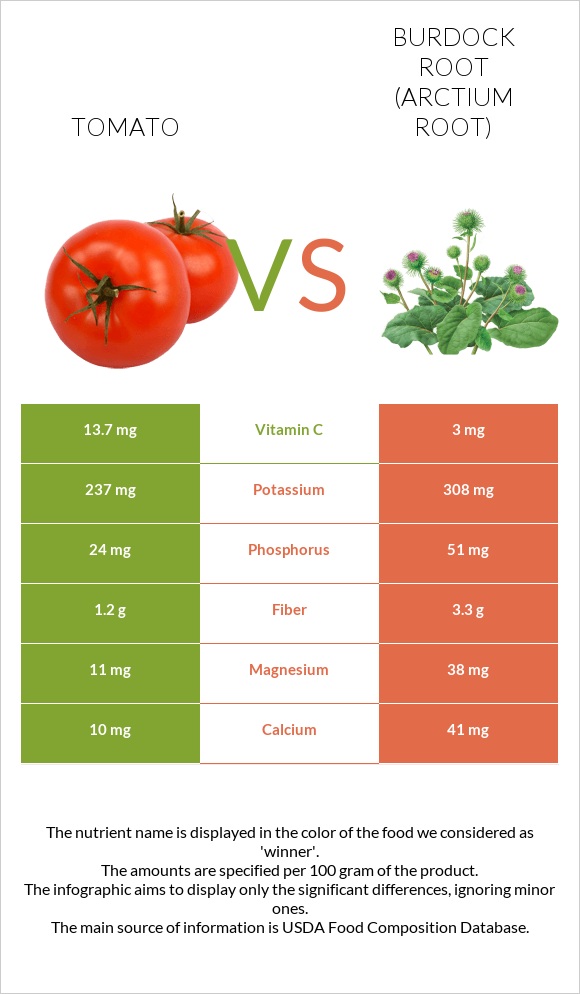 Tomato vs Burdock root infographic