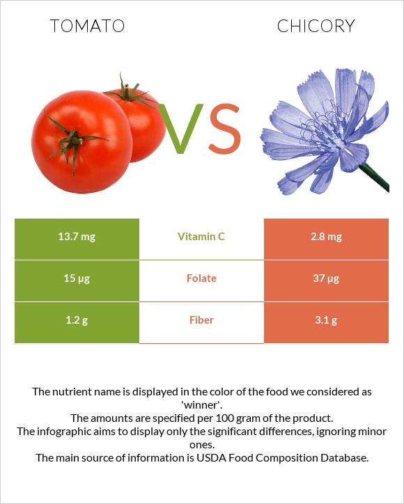 Tomato vs Chicory infographic