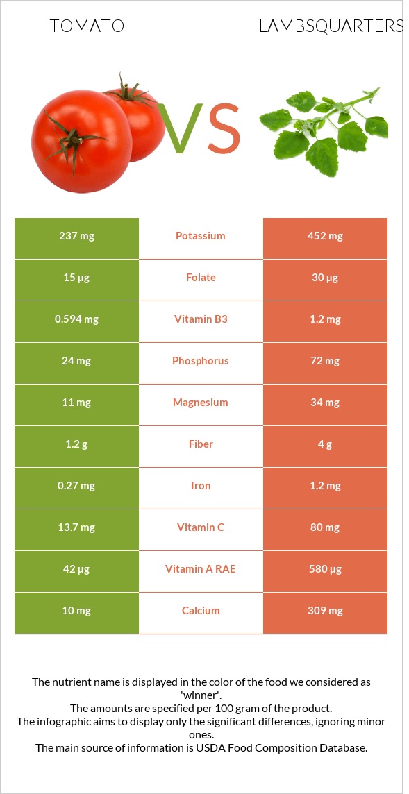 Tomato vs Lambsquarters infographic