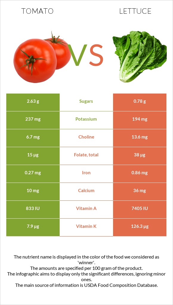 Tomato vs Lettuce infographic