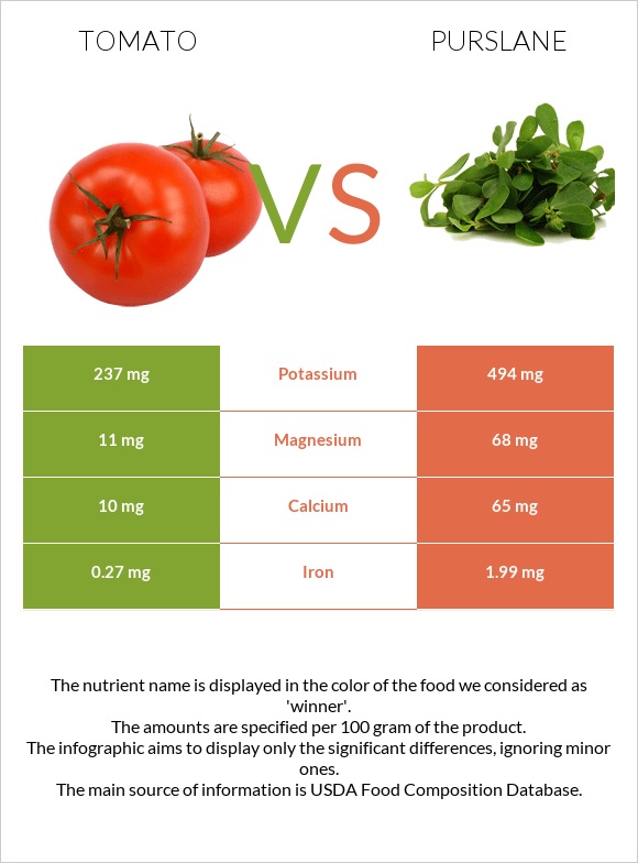 Tomato vs Purslane infographic