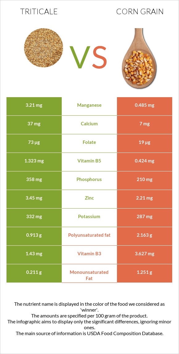Triticale vs Corn grain infographic