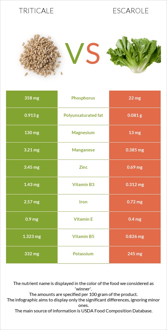 Triticale vs Escarole infographic