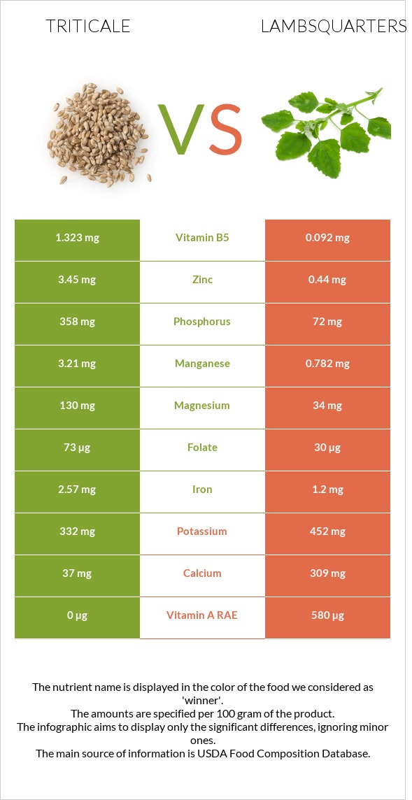 Triticale vs Lambsquarters infographic